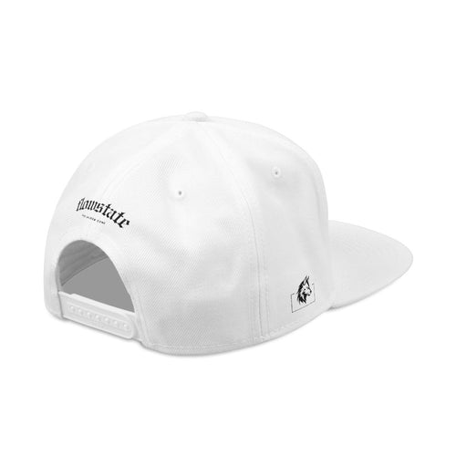 "UNBOTHERED / DETACHED NOISES" SNAPBACK